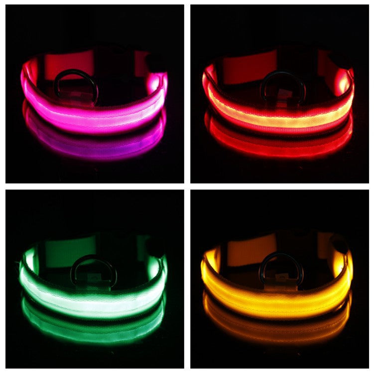 Safety Dog LED Collar with tracker