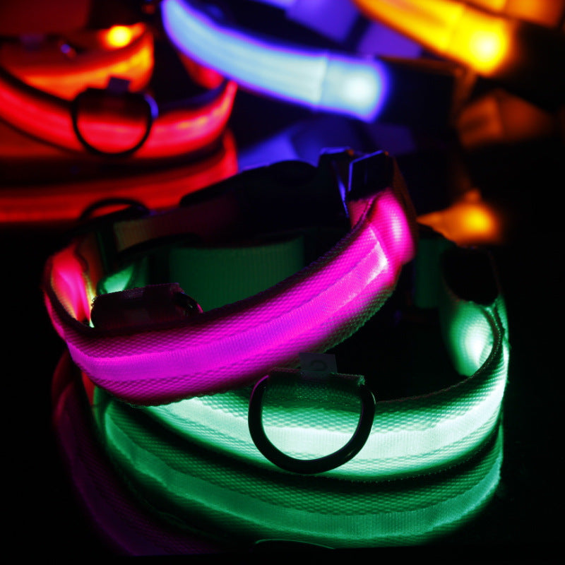 Safety Dog LED Collar with tracker